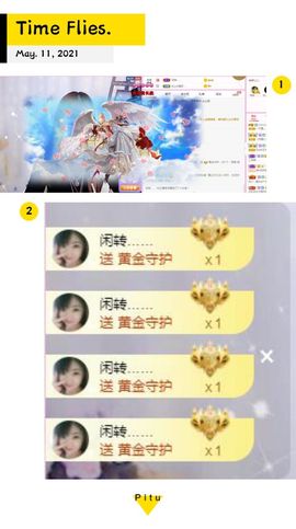 一只雁~的图片