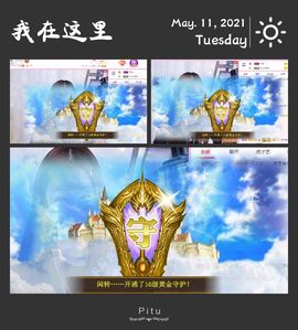 一只雁~的图片