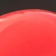 大风吹ん