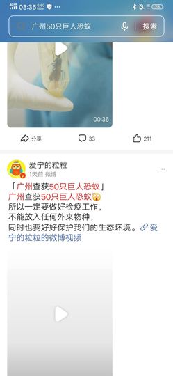 费英里主播照片