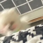 说点什么号呢！