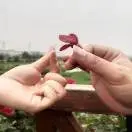 独行侠9a