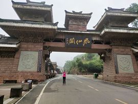 二娃在重庆找婆姨的图片
