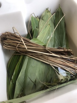🌻小七（安静唱歌）的图片