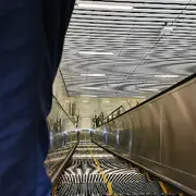 人类高质量男性
