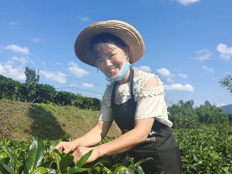 云南壹姐视频聊天