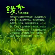 移动💓的心