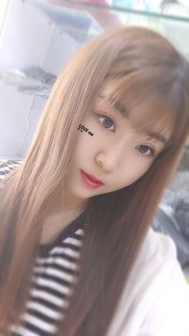 一只雁~的图片