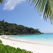 .江南.