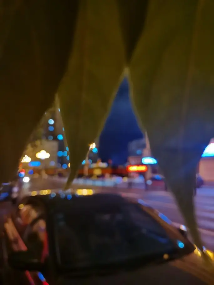 不念过往づ的主播照片