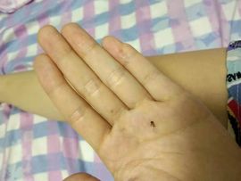现实✔差距的图片