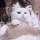Paranoidを