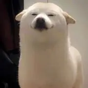 云趣传媒