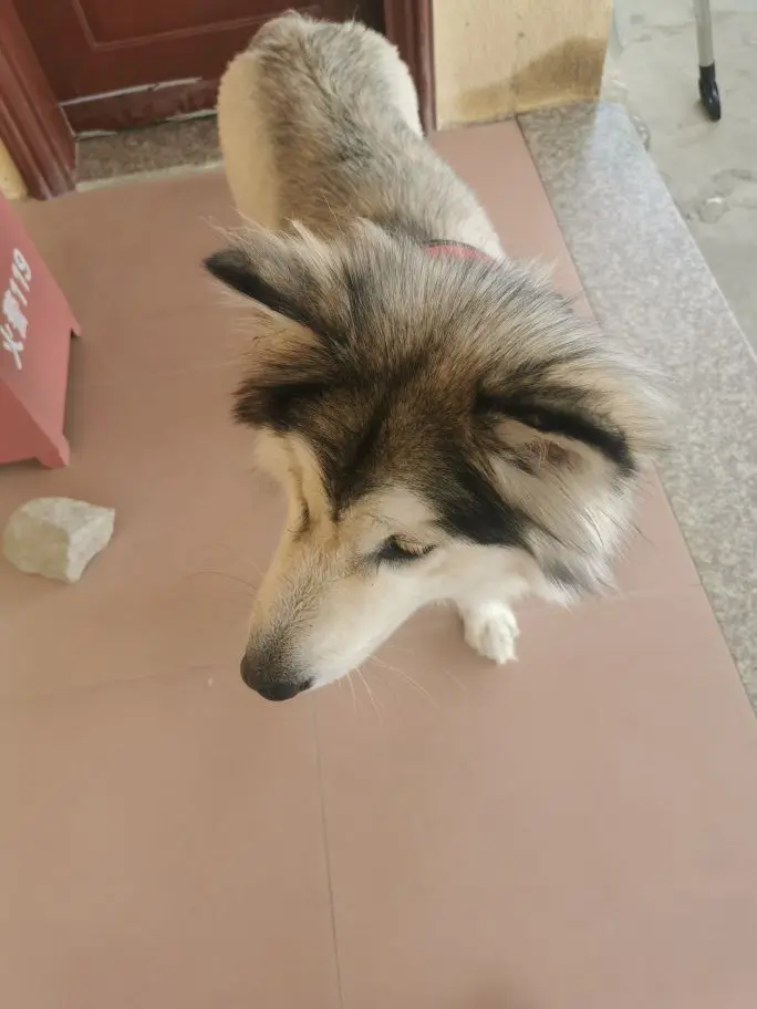 √丶寳貝幻想的主播照片