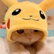 金小满♡ℒℴvℯ小猫