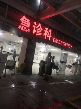 🌻小七（安静唱歌）的图片