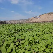 多情无意。。