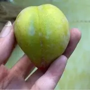 我是鲜花你是奋