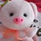 星光闪耀yf