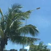 科技。、
