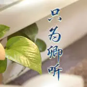 只为卿听