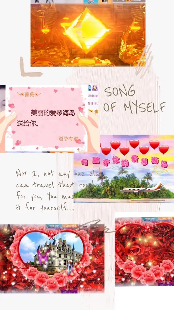 🌺蔷薇🌺的主播照片