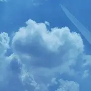 12875698
