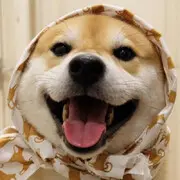 万分情愿
