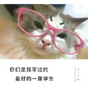 璐璐已换号播哈