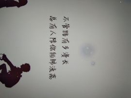 暮雪🍁升7冠的图片