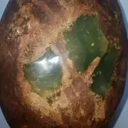 百号星团树平