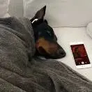 晚风辰
