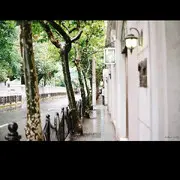 人生若只如初见不相亲