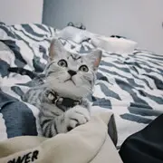 偷偷看美女😍