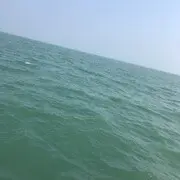 小雨淋