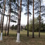 明月不常在
