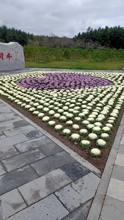 ╰つ✿紫se依恋的图片