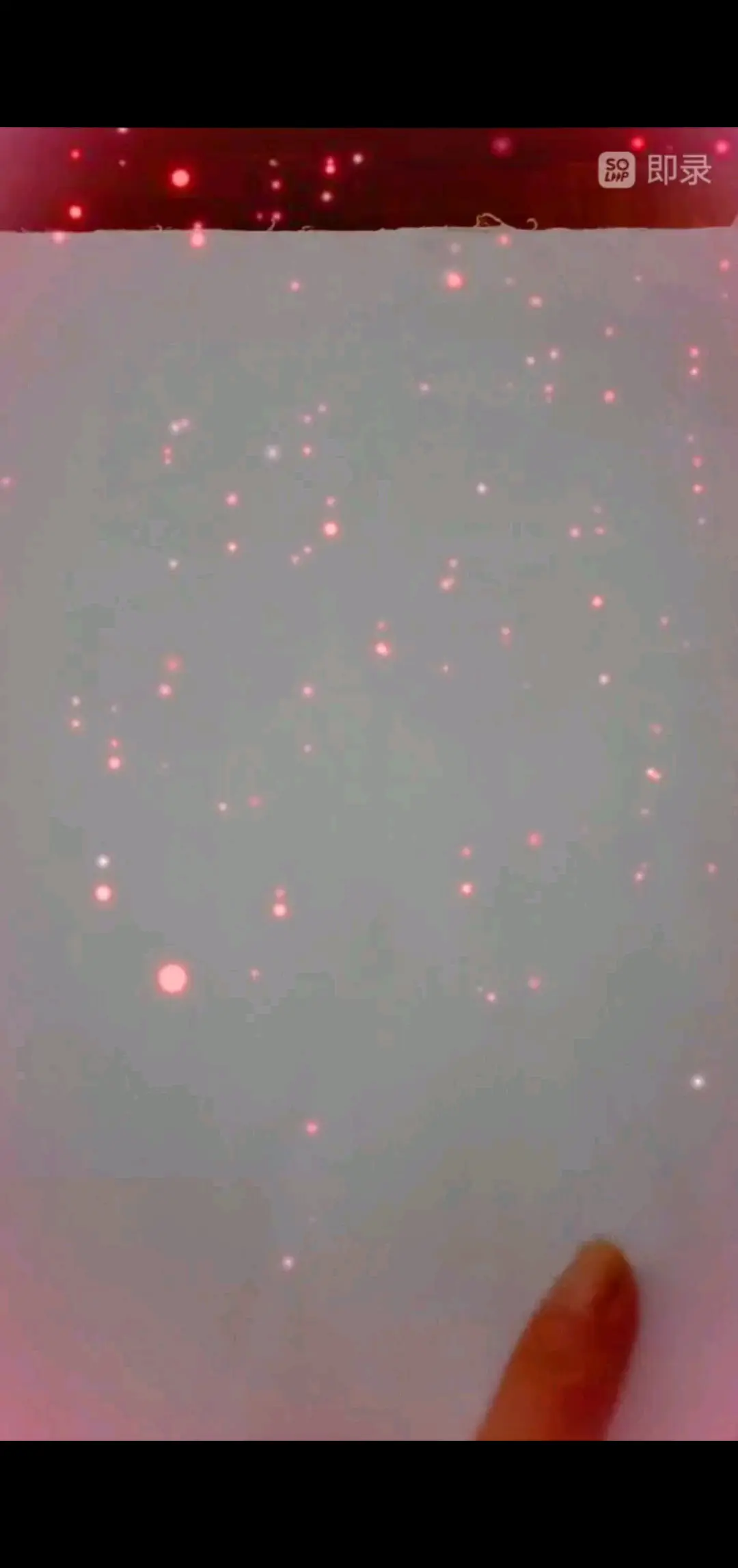 调皮捣蛋小猫咪🐱，每