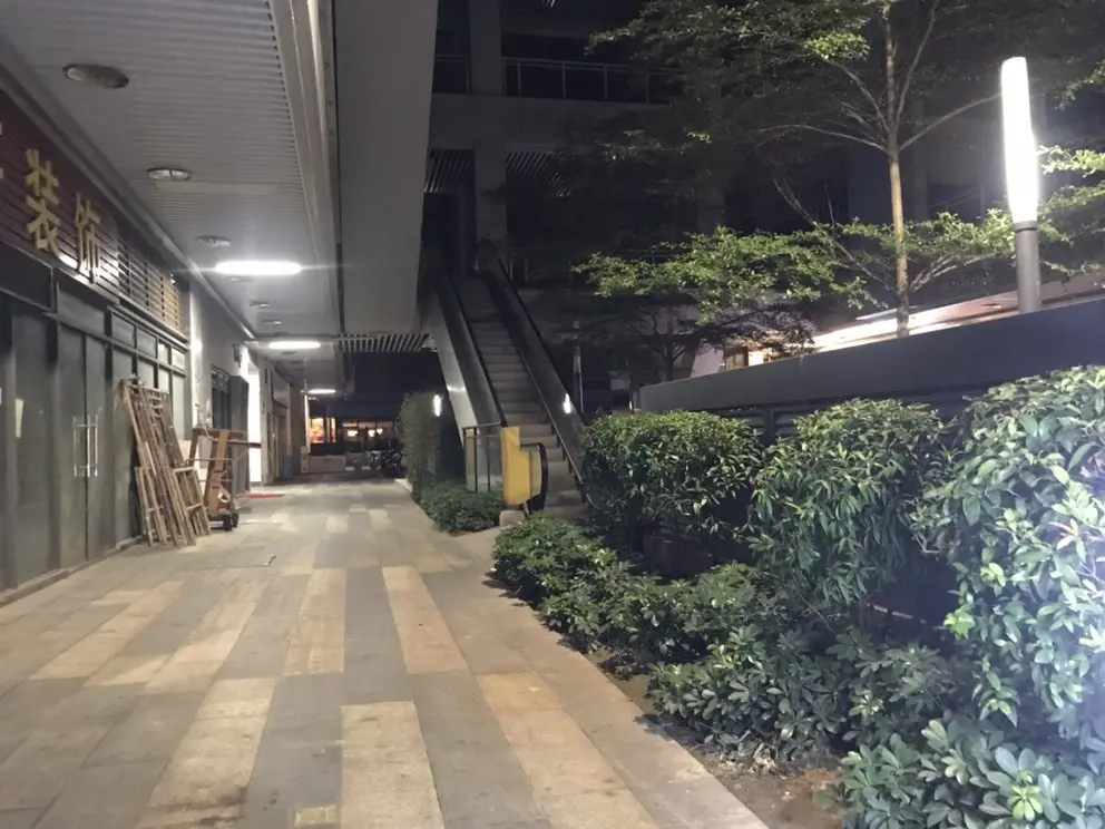 肉宝加加油的主播照片