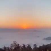 依依退网了