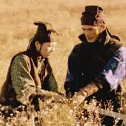 风暴狼哥