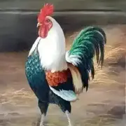 昵称都被注册