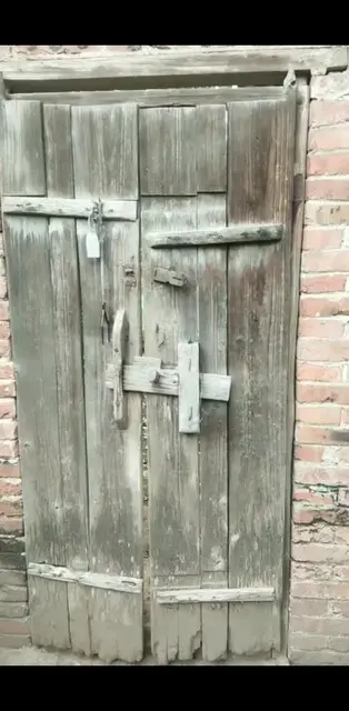 小小的菜园就像一个百