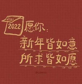 一只雁~的图片