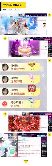 一只雁~的图片