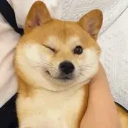昨日重来👄