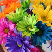 🌷🌷❣️🌷🌿🎉