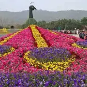 没币随便逛逛