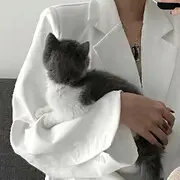 林度m