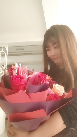 一只雁~的图片